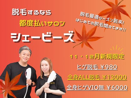 シェービーズ(shavys)の写真