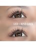 【LED】バインドロック《100束》¥7100