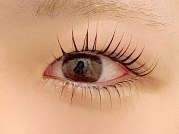 デイジーラッシュ 神戸三宮店(Daisy Lash)/まつげパーマ/パリジェンヌ/神戸