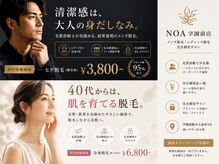 ノア(NOA.)