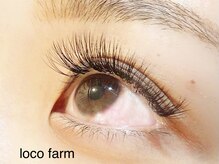 ロコ ファーム(loco farm)/ボリュームラッシュ100束