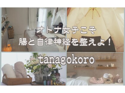 タナゴコロ(tanagokoro)の写真
