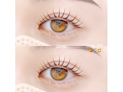 ダウツー(dow 2)の写真