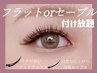【新規】選べる毛質★高級セーブルorフラットラッシュつけ放￥10200→￥8700