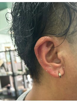 マトリカリア(MatriCaria)/