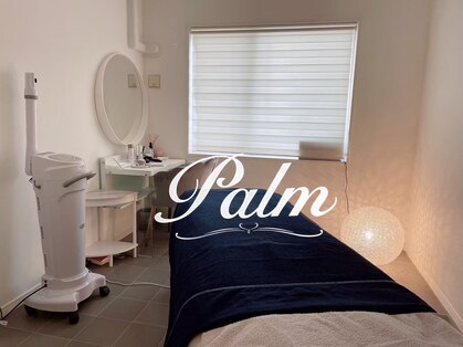パーム(Palm)の写真