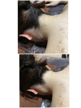 アンジュヴィバラヴィーダ(Ange viva la vida)/