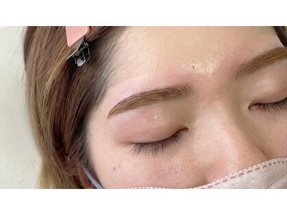 ラクダ(rakuda)の写真