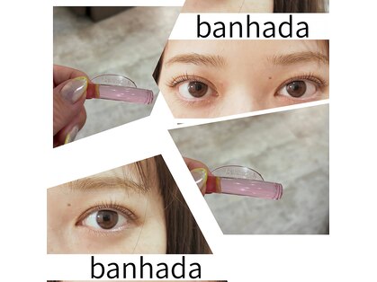 バンビ(Bambi)の写真