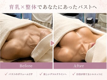 ラウリノサロン(Laurino salon)/誰でもふっくらバストアップ♪