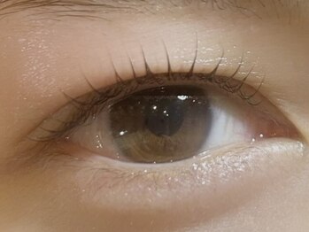 アイ(Aye)の写真/あなたの魅力を最大限引き出す☆モチ×高技術で理想のお目元に◎LEDマツエク/パリジェンヌラッシュリフト