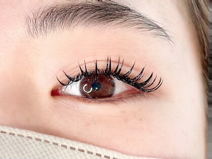 リーウ(leeu)の写真