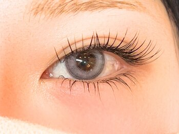 フロール 上大岡(Flor)/フラットラッシュ