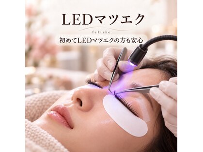 アイラッシュサロン フェリーシェ(Feliche)の写真