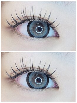 アトリエクレフ/フラットラッシュ 120本