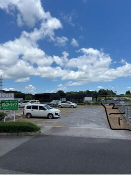 ひまわり/駐車場