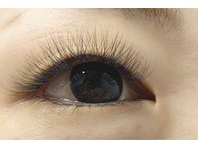 シック(Chic)/ボリュームオールカラー120束