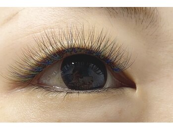 シック(Chic)/ボリュームオールカラー120束