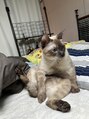 アジアンリラクゼーション ヴィラ 刈谷店(asian relaxation villa) 愛猫です♪