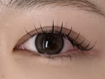 プラスエオノ エオノ(Plus Eono)/LEDフラットラッシュ