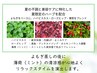 【数量限定】夏限定ハーブ！よもぎ蒸し(30分)＋よもぎ茶付5000円→3900円