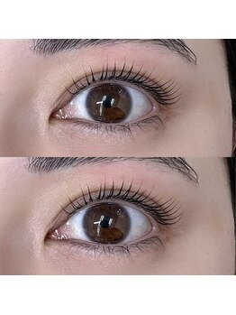 フォーカス(FOCUS)/ラッシュリフト