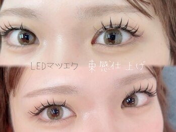 アイラッシュプラザ 横浜西口(EYELASH PLAZA by Sunmego)の写真/SNS映えすること間違いなし♪【韓国束感マツエク☆フラットラッシュ130本】抜け感のある柔らかい印象に◎