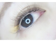 リアージュ(Liage)/3Dラッシュ120束