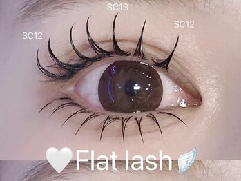 ビーナスベルト 池袋(VENUS BELT)/上下フラットラッシュ