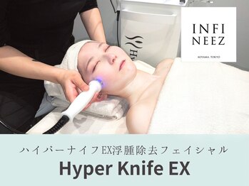 インフィニーズ(INFINEEZ)/【カスタマイズメソッドNo.21】