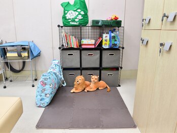 ミヤコ整骨 整体院(385整骨 整体院)/キッズスペース【ストレッチ】