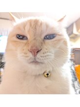 エイプリルプラス(April plus) くー 君