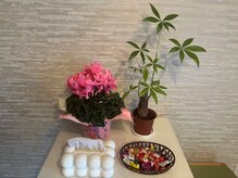 サロンの雰囲気