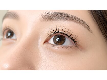 バニラ(VANILLE)の写真