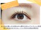 まつげエクステ専門店 ヴィーナスラッシュ 新宿店(Venus Lash)の写真