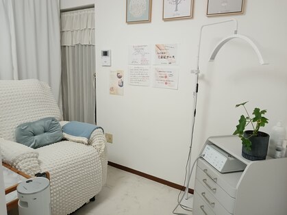 ウィル(Will)の写真