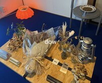 ダウツー(dow 2)
