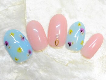 ブルーデイジー(Blue daisy)/