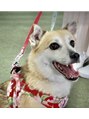 ヨサパーク リープ(YOSA PARK Leap) 犬好き。家でも雑種の『めい』と暮らしてます。