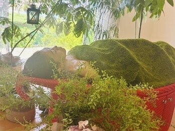 インフィニート(∞)の写真/【ヨガとアーユルヴェーダ、ハマム浴】知識と経験豊かな凄腕セラピストに全身お任せ!自然療法の極みサロン!