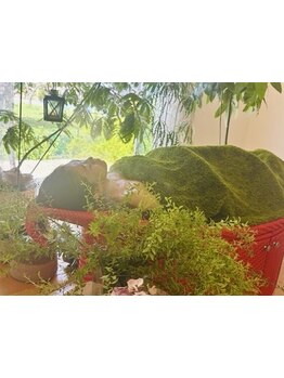 完全個室のリラクゼーションサロン