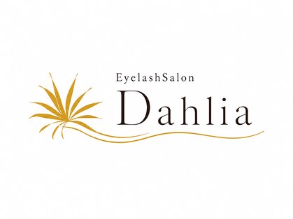 ダリア(Dahlia)の写真