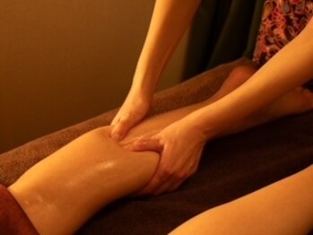 ロータスツリー(LOTUS TREE)/