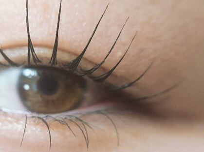 札幌ヘッドスパ まつげパーマの写真