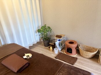 カフー(kafuu)/【施術部屋は落ち着いた個室】