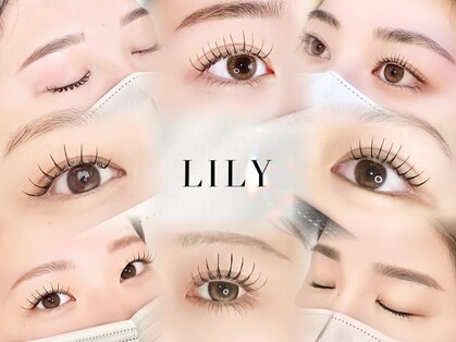 リリー(LILY)の写真