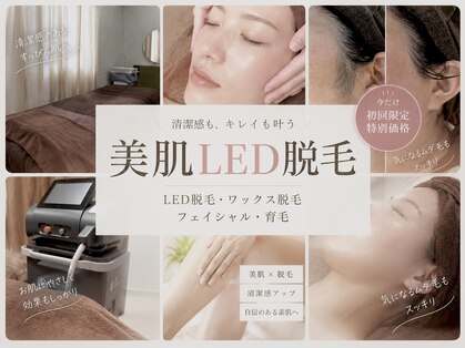 ドクターリバース(Dr.Reverse)の写真