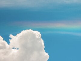 フットのオススメクーポン