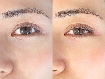 リリーベイブ(LILY BABE)/まつげパーマ/マツエク/パリエク