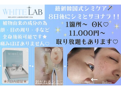 フェアリーの写真